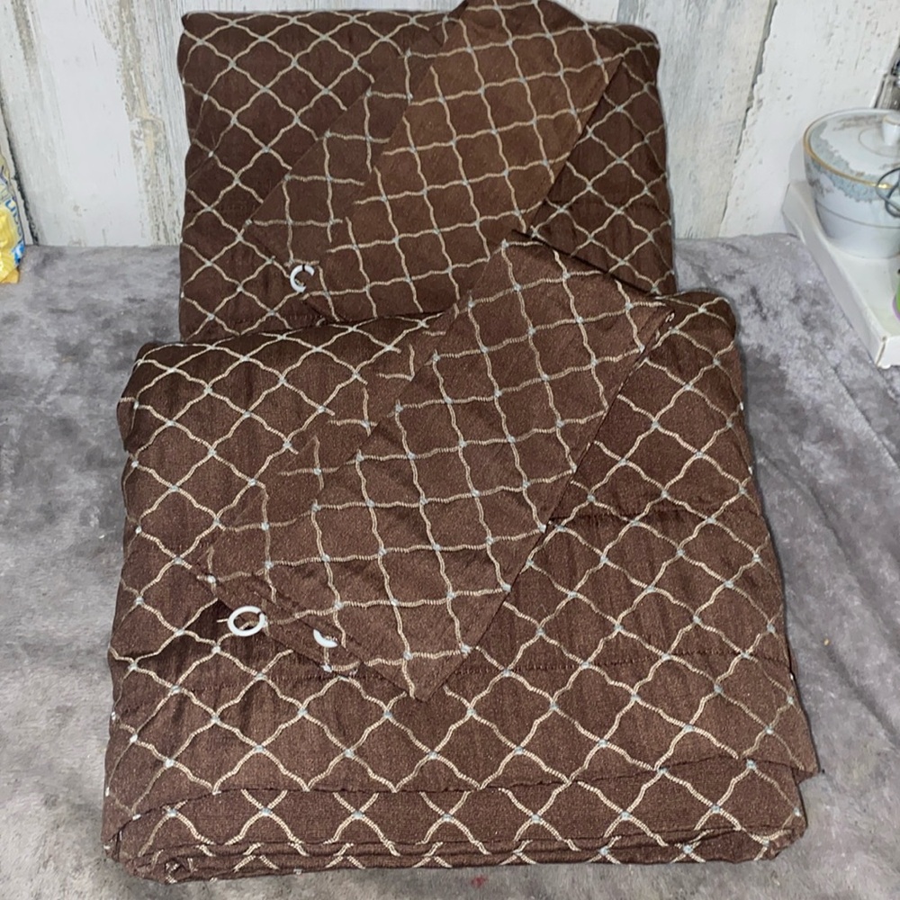 0224 Set of 2 Biltmore Curtain Panels
